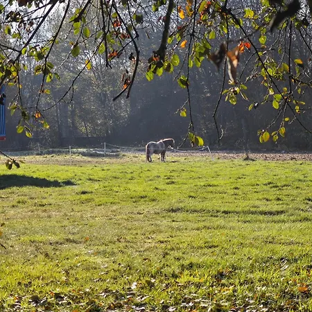 Διαμέρισμα 1 Diepholz